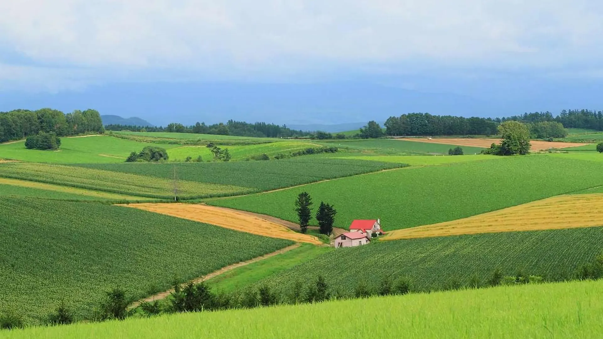 Hotel Naturwald Furano