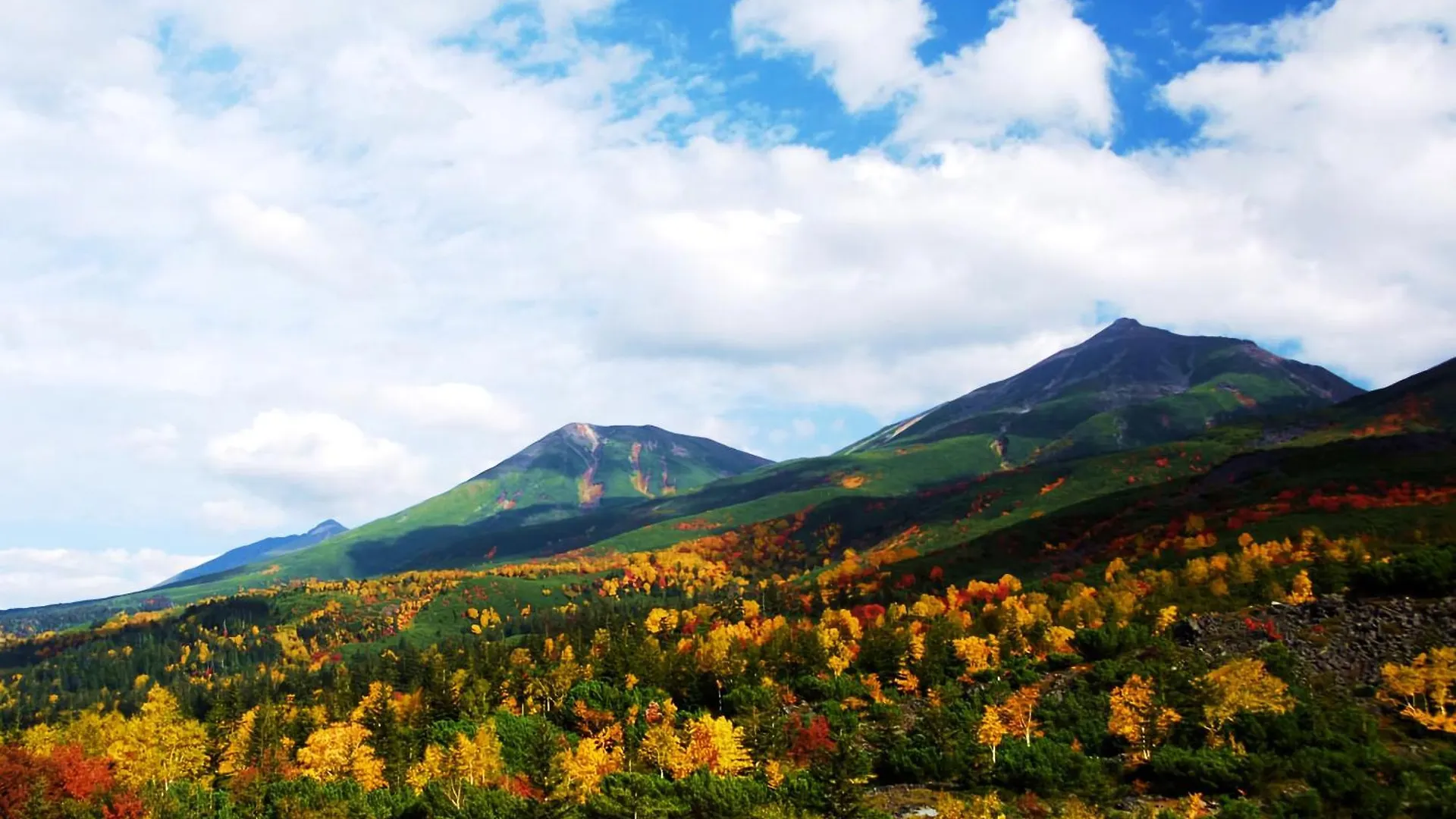 Hotel Naturwald Furano