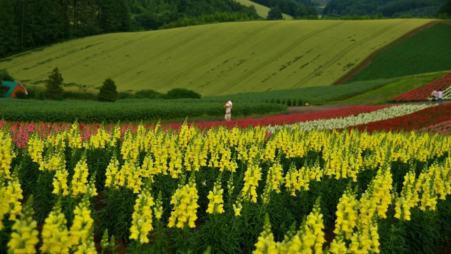 Hotel Naturwald Furano