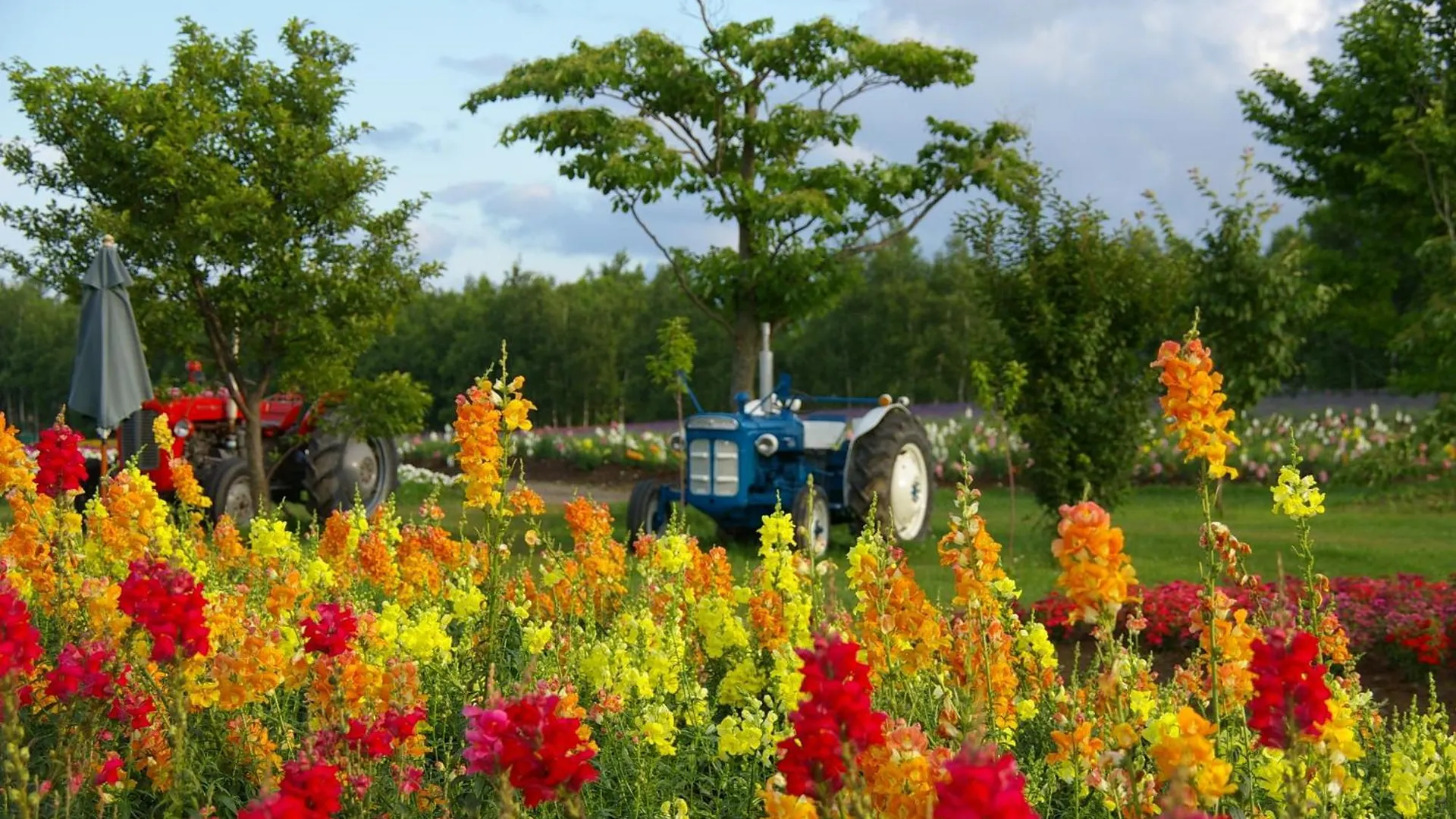 Hotel Naturwald Furano 3*,