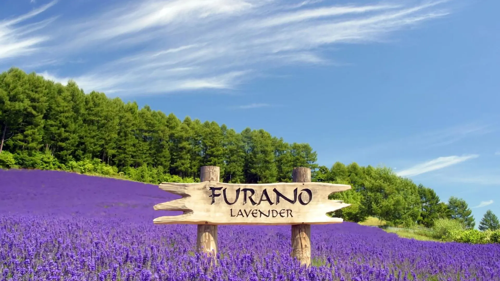 Hotel Naturwald Furano