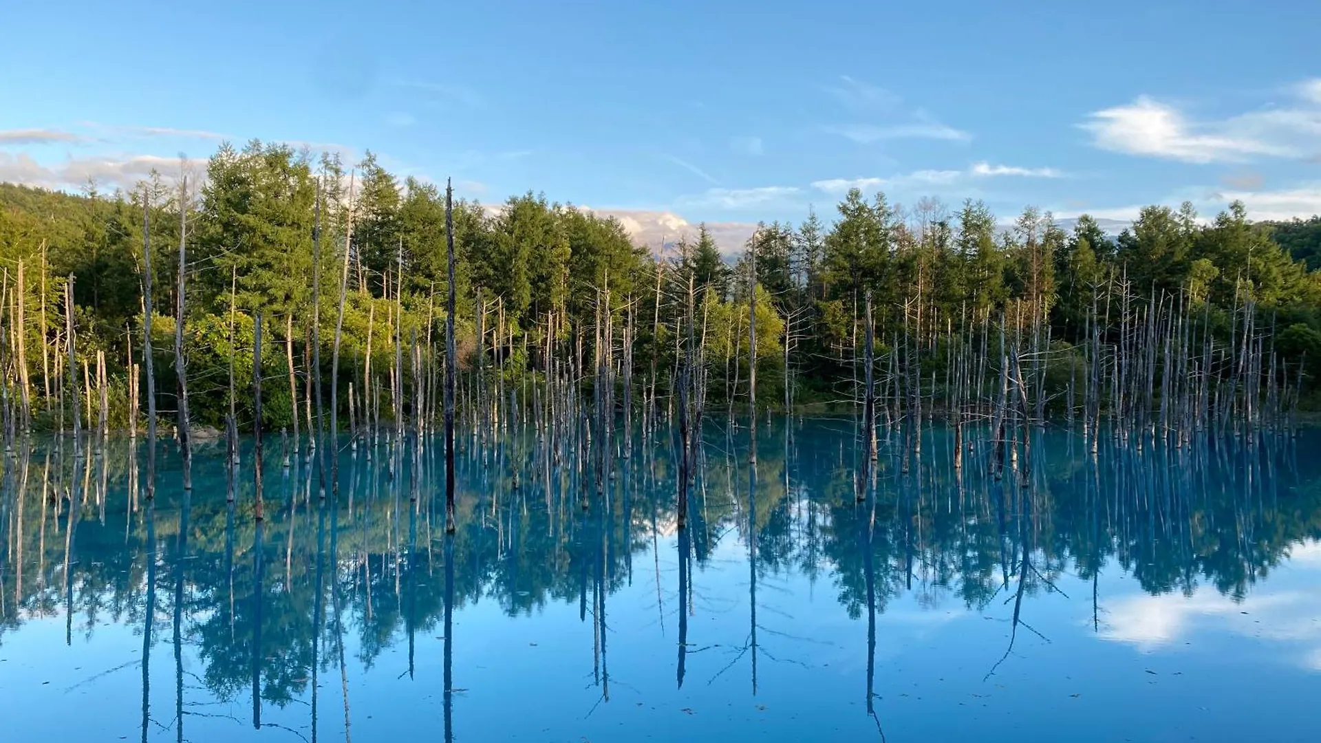 Hotel Naturwald Furano Japan