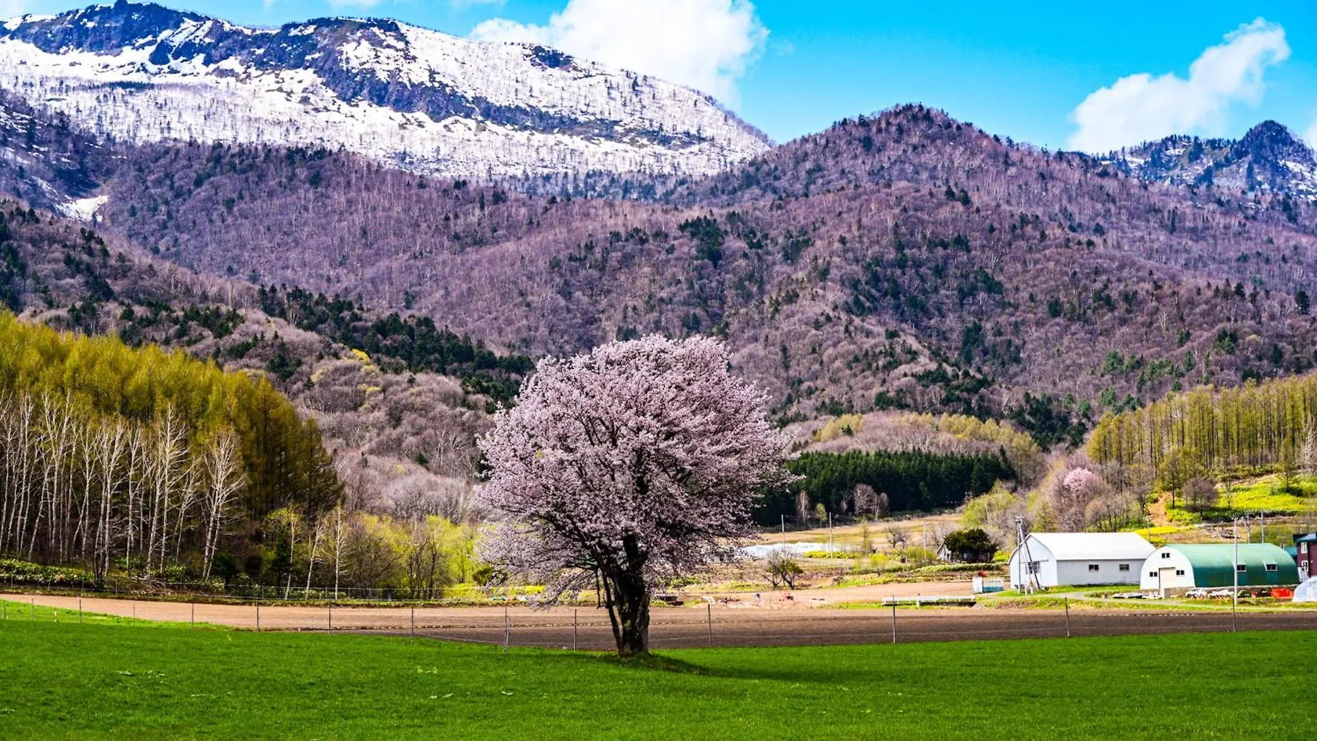 Hotel Naturwald Furano